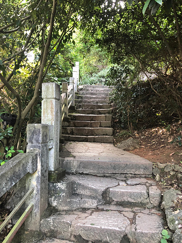 "风景倒是不错_象鼻山景区"的评论图片