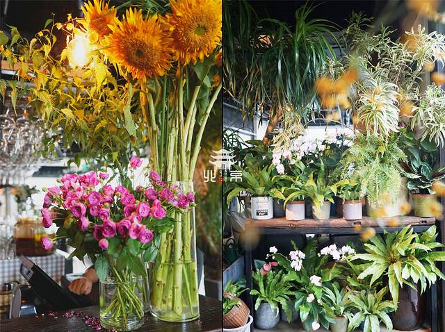 北平花园(天安门店)