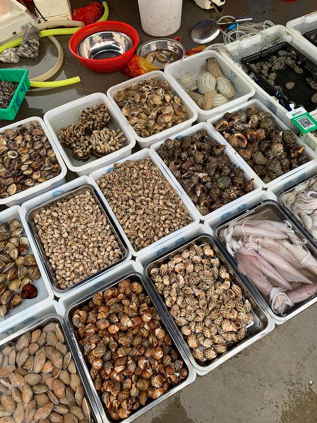 文昌清澜港环球码头