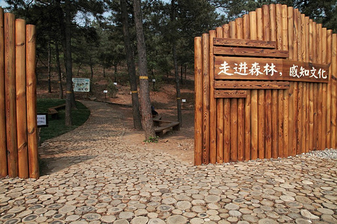 北京西山国家森林公园旅游景点攻略图