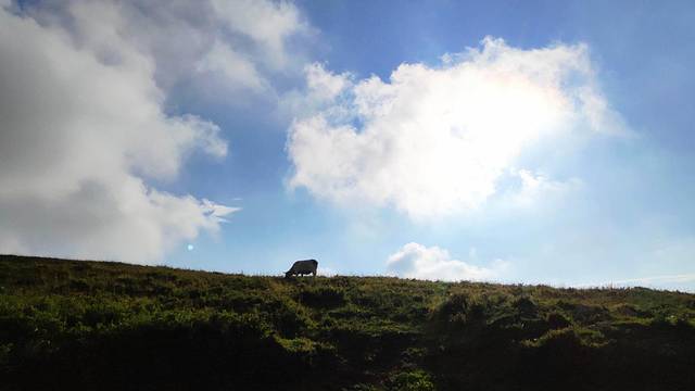 二龙什台国家森林公园