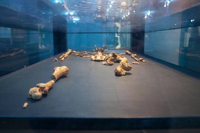 埃塞俄比亚国家博物馆