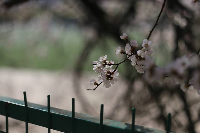 哈尔滨工程大学