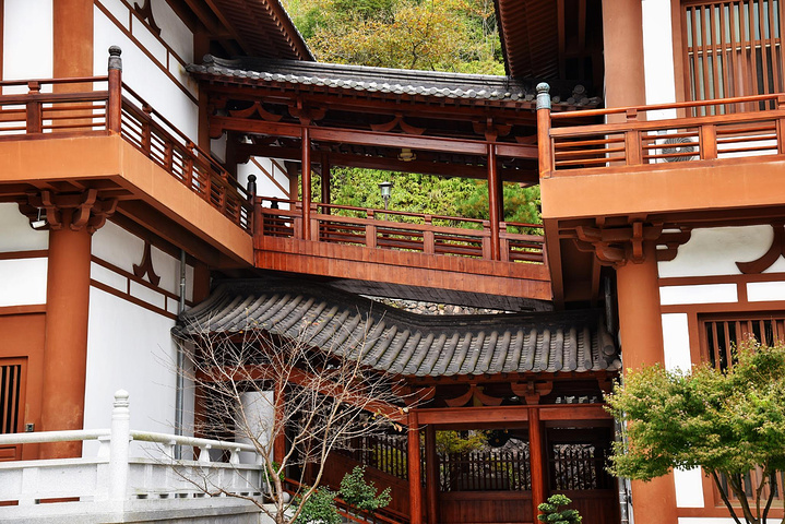 "安佛寺,和其他地方的寺庙不一样,它只开放了一小部分地方给游客