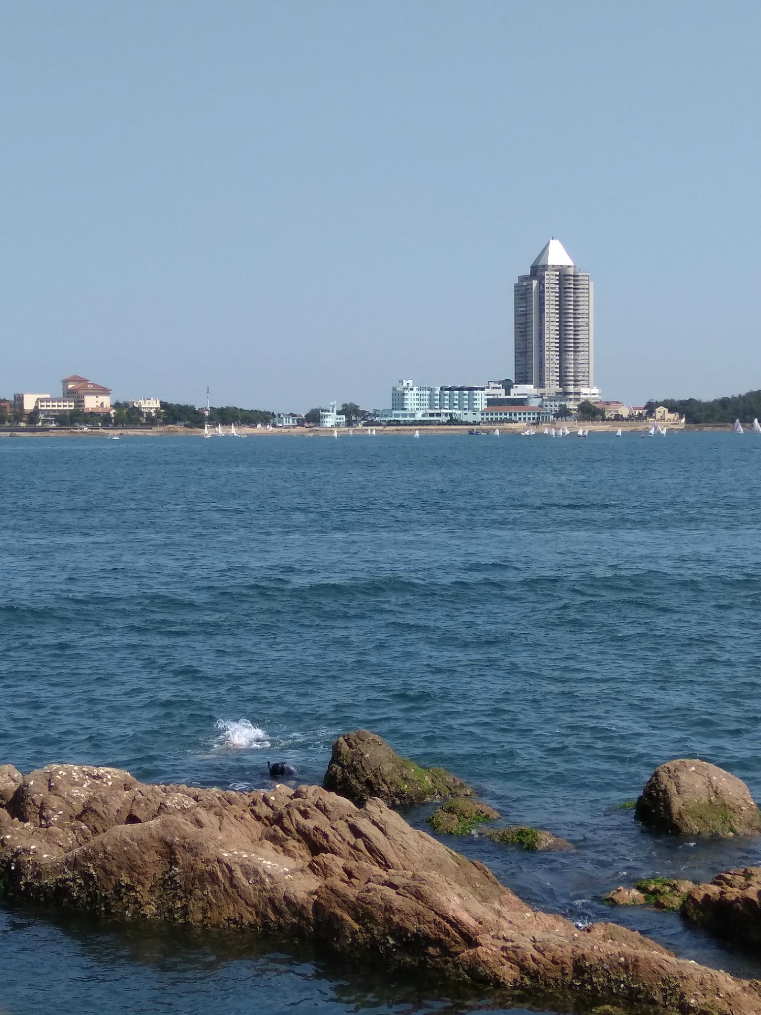 魯迅公園是免費的緊鄰青島海底世界距離小青島和海軍博物館也非常近