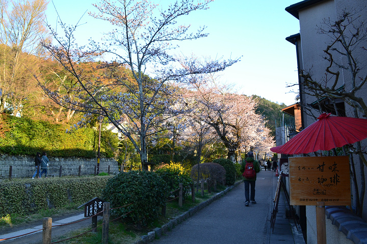 "银阁寺本名慈照寺，与金阁寺一样，同为临济宗相国寺派寺院，也是室町时代所建。银阁寺门票_银阁寺"的评论图片