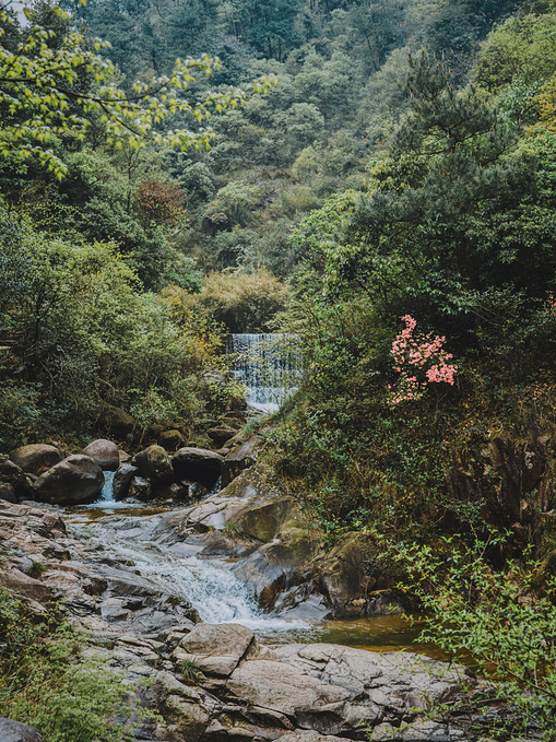 说说这次旅行图片