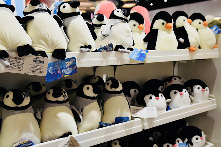 "在这里不得不提企鹅商店了，里面的企鹅周边手办实在是太萌了~坐完过山车下来沿着秋涟河就走到了极地小镇_上海海昌海洋公园"的评论图片