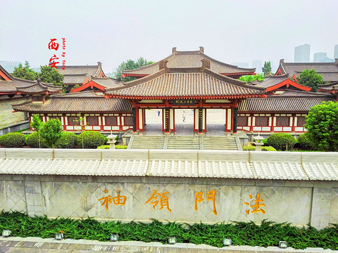 2020唐大慈恩寺遺址公園-旅遊攻略-門票-地址-問答-遊記點評,西安旅遊