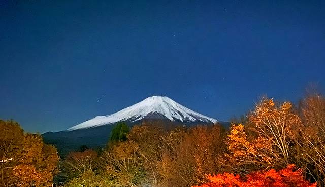 国营昭和纪念公园