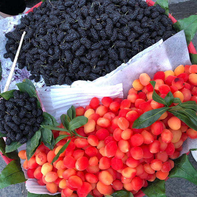 一路向西去大理丽江