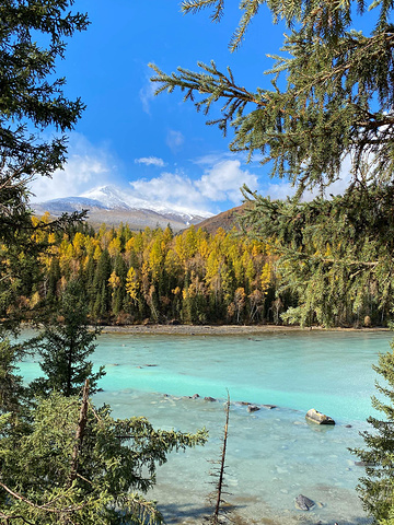 "...雪山、森林、河流，我像是走进了一副画里，我一下子明白了为什么喀纳斯被称为“人间仙境、神的花园”_喀纳斯湖"的评论图片