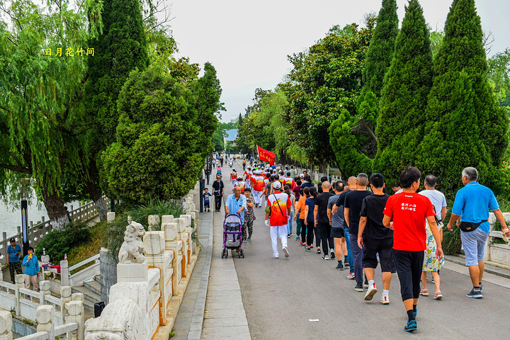 "...不好，但是计划好还是要去的，下午五点十分就来到了龙湖公园，在我认为傍晚时刻是逛公园最佳时间之一_龙湖公园"的评论图片