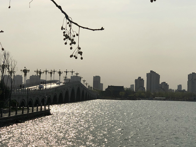 "东昌湖，又名：环城湖、凤城湖。据称是世界最大的护城河。二十一孔桥，站在桥上，可以看见小鱼的_东昌湖"的评论图片