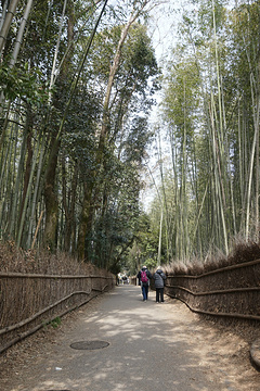 岚山旅游景点攻略图