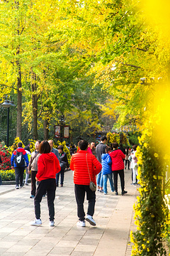 成都市人民公园旅游景点攻略图