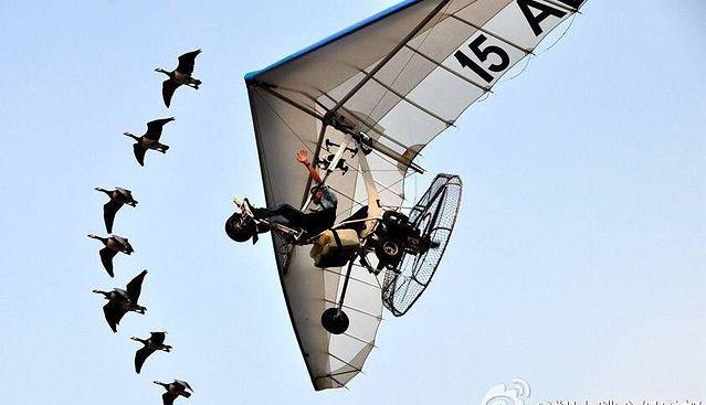 飞乐航空飞行营地