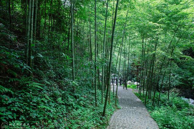 黄沙秘境大峡谷景区