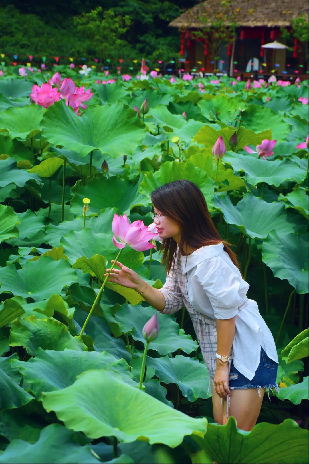 清远旅游，观赏盛夏醉美荷花塘，品尝美味喀斯特英西峰林荷花宴！