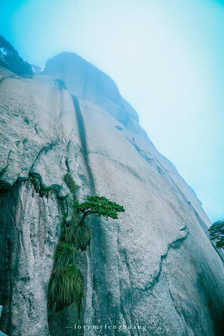 "...，这些远看似古堡魏立的天柱山岩石，在西关群峰垂直节理中非常发育，形成了横看成岭侧成峰的美丽景致_天柱山"的评论图片