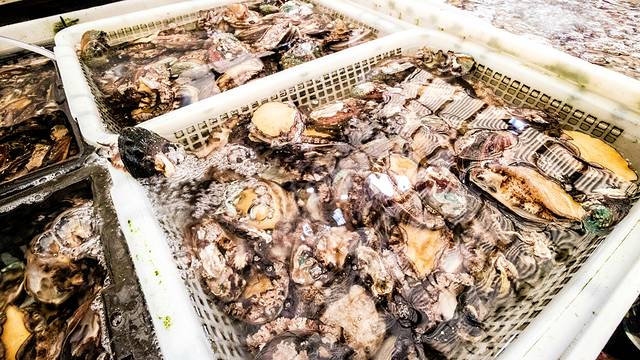 帝王宫综合市场