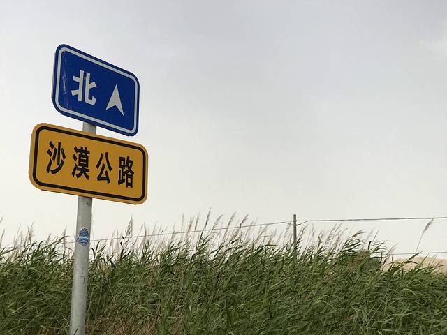 塔里木沙漠公路