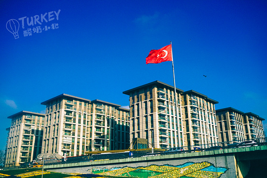 伊斯坦布尔大学旅游景点图片