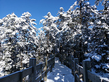 西岭雪山旅游景点攻略图片