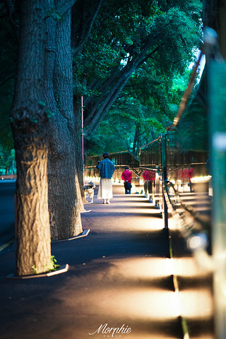 "位于釜山繁华市区的龙头山公园，因公园内的山峰像一条卧龙而得名，还没到龙头山公园，远远的就可以看..._龙头山公园"的评论图片