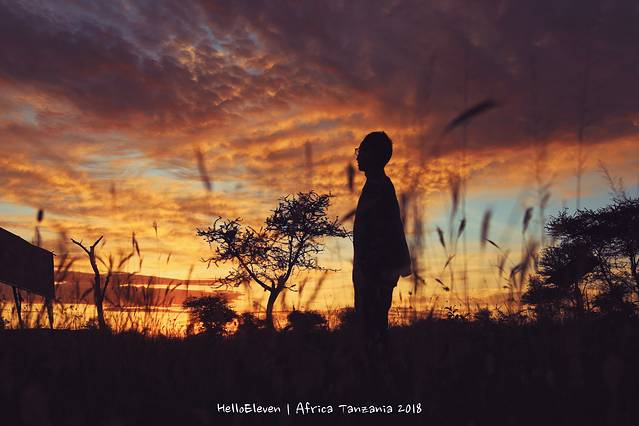 恩戈罗恩戈罗保护区