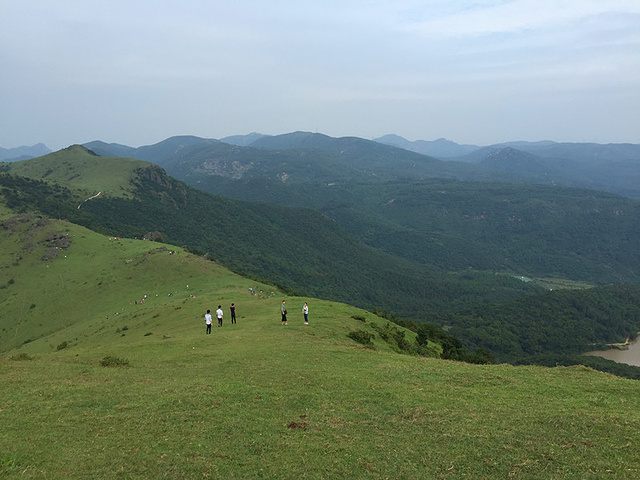 "_大姆山草场"的评论图片