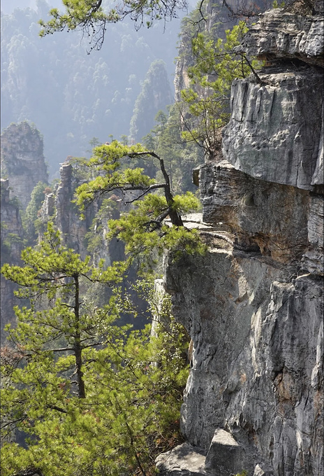 说说这次旅行图片