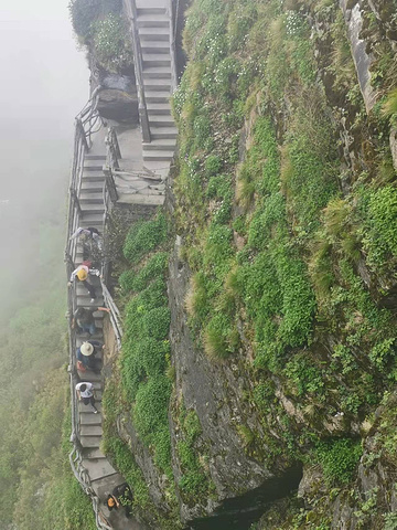 "次日早去梵净山，大巴开的挺远到山下晚些了，游客排起长龙，坐缆车于云雾，接着还得登栈道爬山，累的..._梵净山"的评论图片