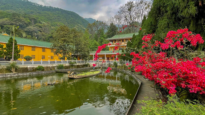 "距离云门山景区仅几分钟路程的云门寺也是一个非常值得打卡的地方，人人都知道韶关有个南华寺却很少有..._云门寺"的评论图片