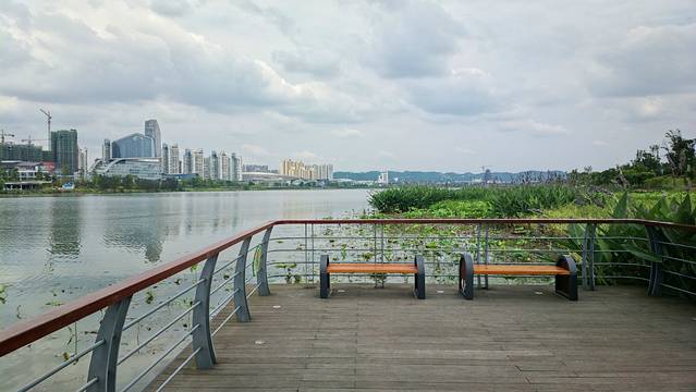 世界荷花博览园