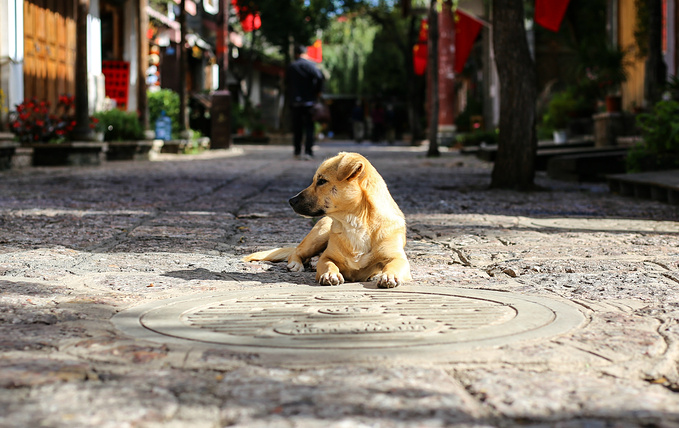 束河古镇图片