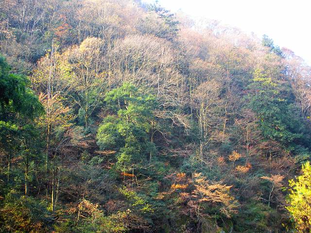庐山国家重点风景名胜区-乌龙潭