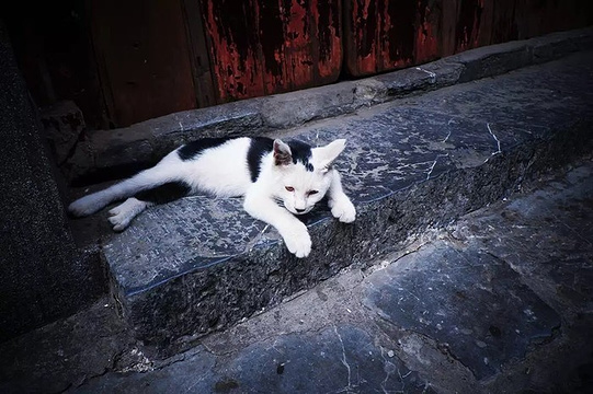 高淳老街旅游景点图片