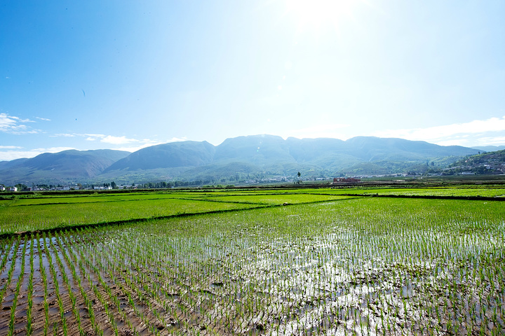看看山路的远以及景色却又觉得不值得突然就想着沿着
