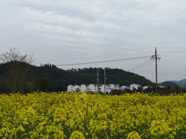 "...延村，保留了大量的明清建筑，是中国历史名村，整体看来村子没有什么特别的，跟其他的婺源村庄差不多_思溪延村"的评论图片