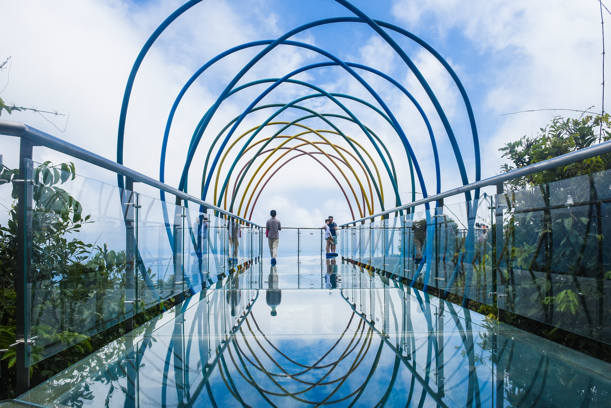 吊桥的出现让我融入这片森林间而玻璃栈道的存在更是让我能领略她那