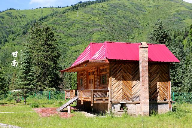 甘肃大峪国家森林公园