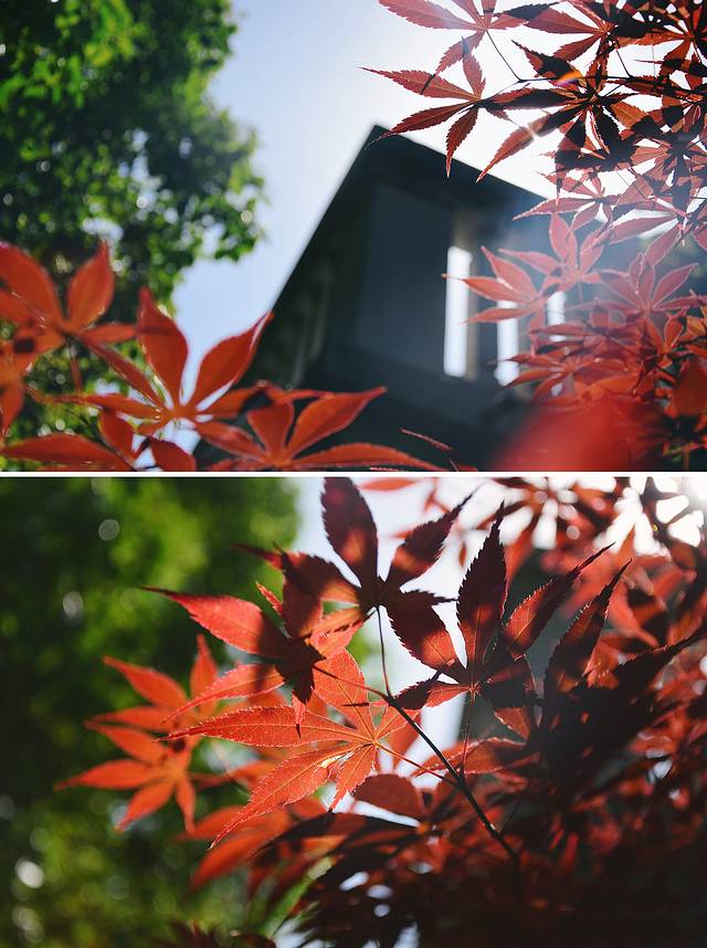 颐和路公馆区第十二片区