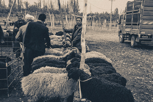 牛羊大巴扎旅游景点图片