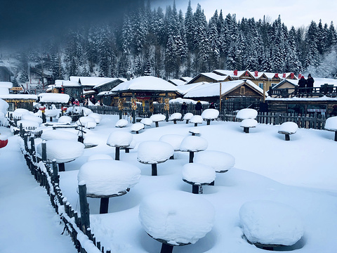中国雪乡旅游景点图片