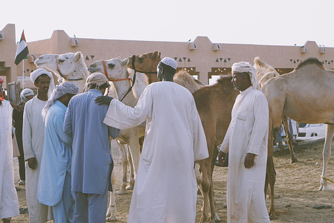 艾恩骆驼市场旅游景点攻略图