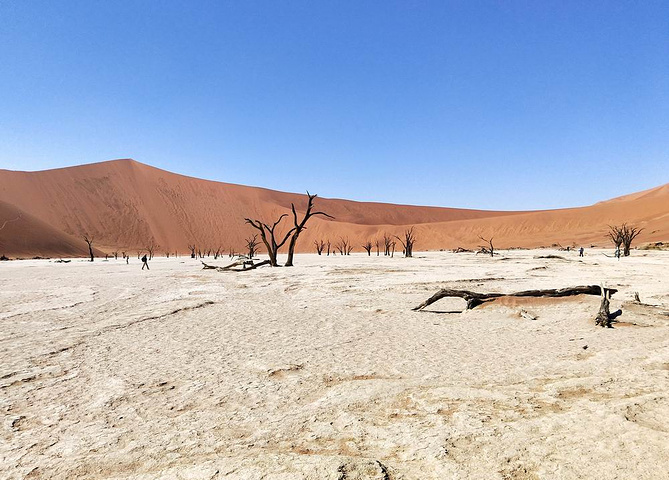 "死亡谷面积不大，被三面高耸的沙丘环抱。除了干涸的泥土，就是数十棵枯死很多年的骆驼树了_死亡谷"的评论图片