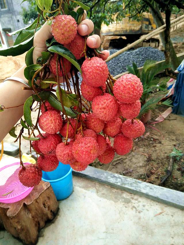 畲族风情村