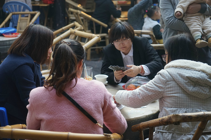 "下飞机直奔人民公园，泡一壶清茶，看看人生百态_成都市人民公园"的评论图片