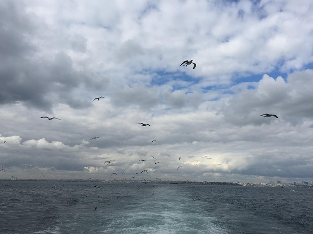 博斯普魯斯海峽它北連黑海南通馬爾馬拉海和地中海把土耳其分隔成亞洲